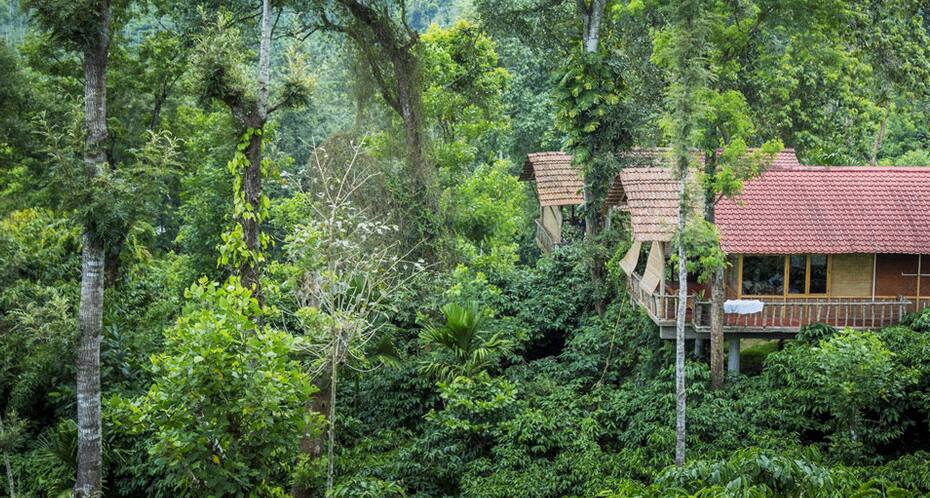 The Coffee County Resorts, Wayanad 5
